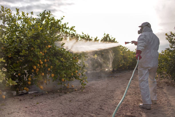 Best Pest Control for Restaurants  in Genoa, OH