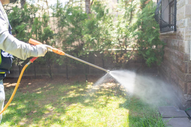 Insect Control in Genoa, OH