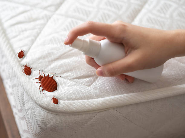 Best Flea Control Services  in Genoa, OH