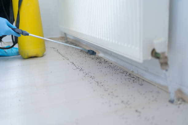 Best Best Pest Control Companies  in Genoa, OH