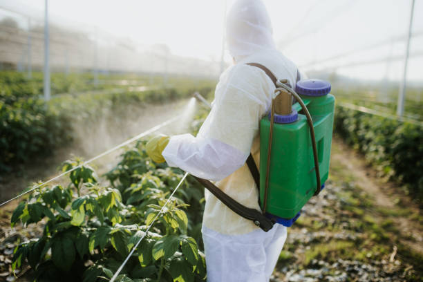 Best Ant Control Services  in Genoa, OH
